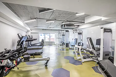 Rented by Five Stone NYC LLC