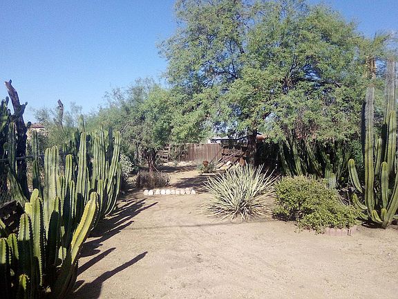 3rd image of 1945 E Campo Bello Dr