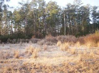 Tbd Four Mile Rd, Conway, SC 29526