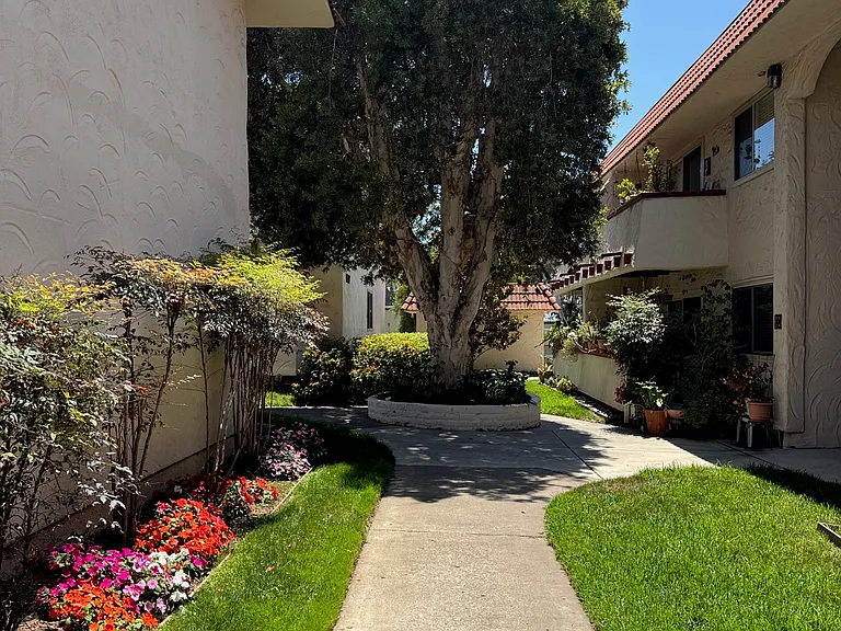 8661 Lake Murray Blvd #5 — Photo 16