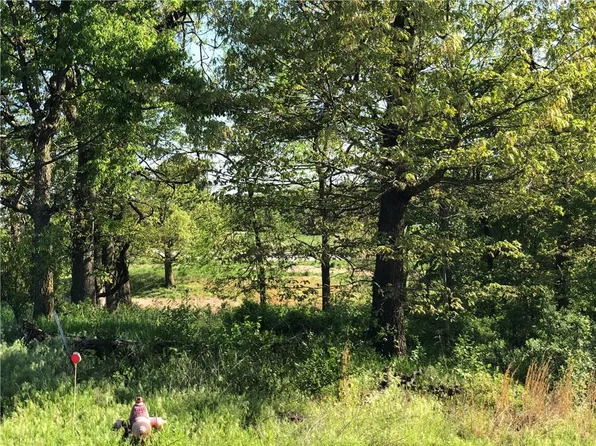 Bunch Cir, Gravette, AR 72736