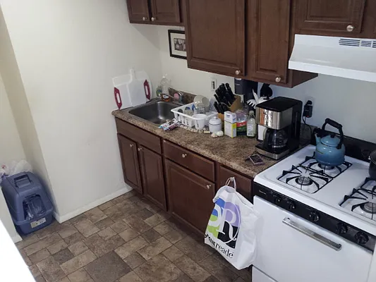 Rented by Alta Real Estate | media 87