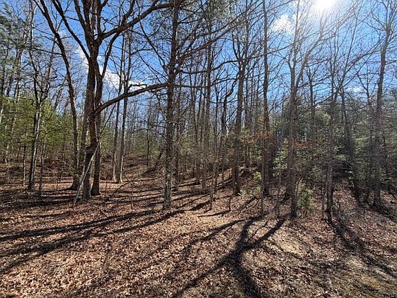 5th image of LOT 8 Walton Furnace Rd