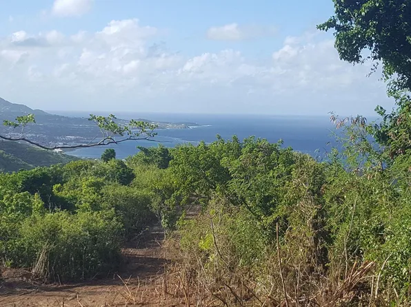 Rem 52 Eliza's Retreat EA, St. Croix, VI 00820