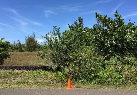 5th image of 2nd Ave Lot 2838
