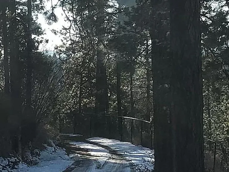 E Kronquist Rd — Photo 34