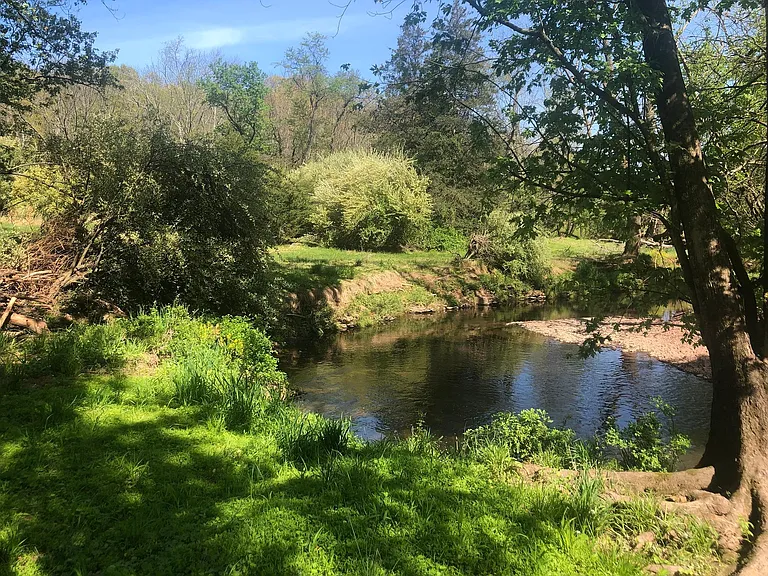 81 Pleasant Run Rd — Photo 5