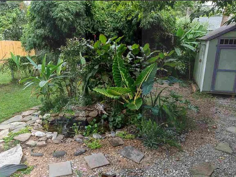 Backyard with Shed