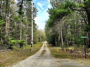 W Topping Ave, Pentwater, MI 49449