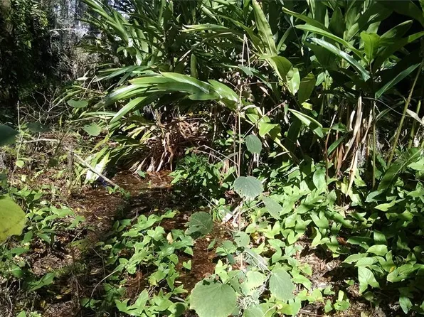 8 Santiago Rd Lot 5, Debary, FL 32713