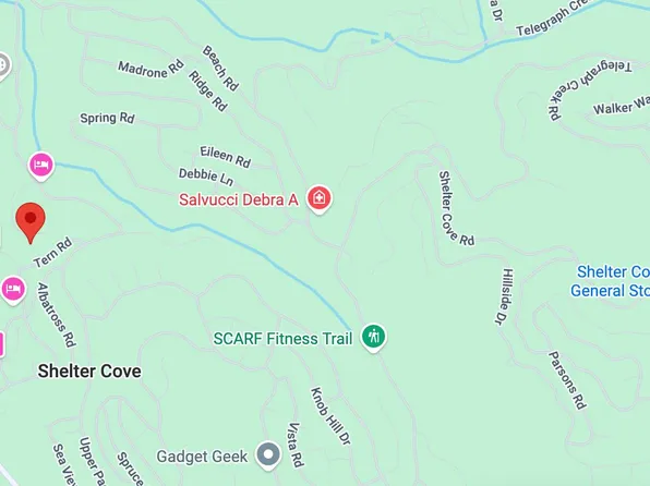 149 Eel Ct, Whitethorn, CA 95589