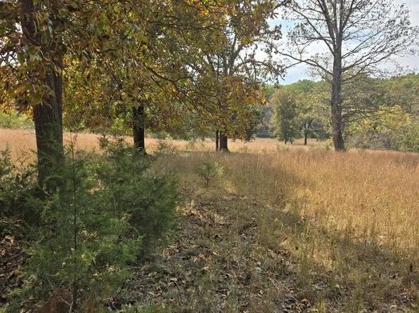 Lot 15 Highway O, Ava, MO 65608