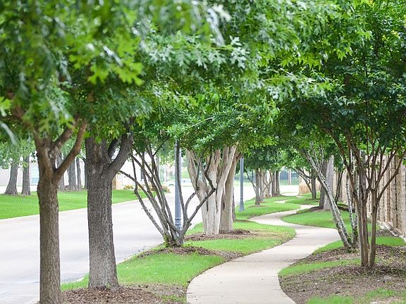 Walking Trails