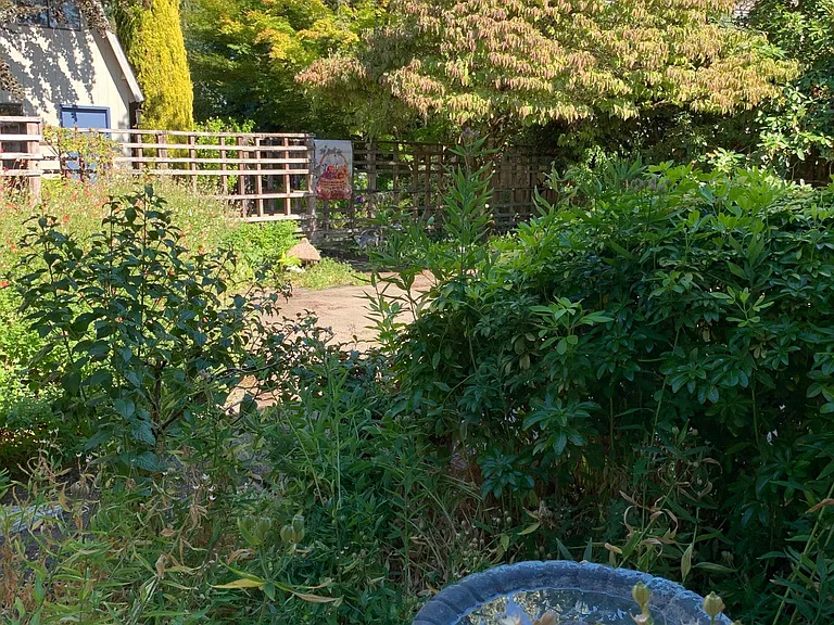 Front patio/garden