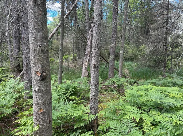 LOT Off Melody Dr, Saint Germain, WI 54558