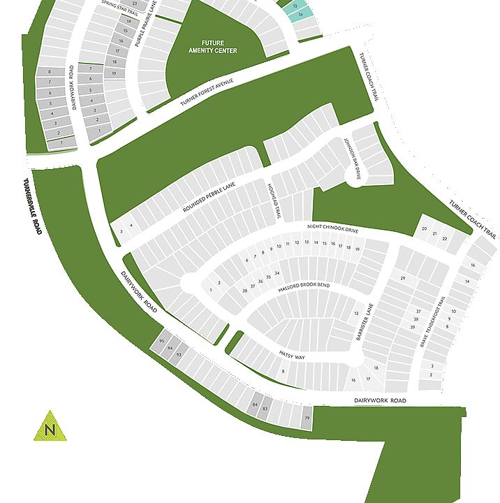 Terrace Collection at Turner's Crossing by Tri Pointe Homes in Austin