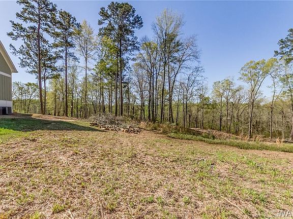 3rd image of 10622 Hidden Woods Ln