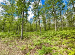 Hubbard Lake Trl, Hubbard lake, MI 49747