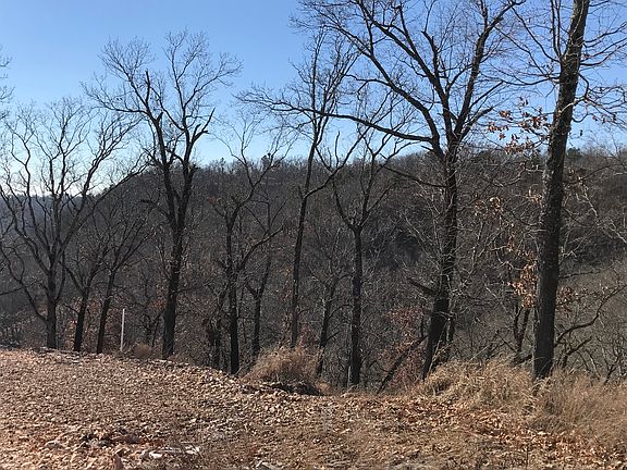 4th image of 23913 S Dellar Dr