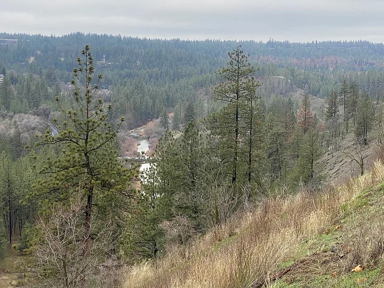 358 S Coeur D Alene St — Photo 55