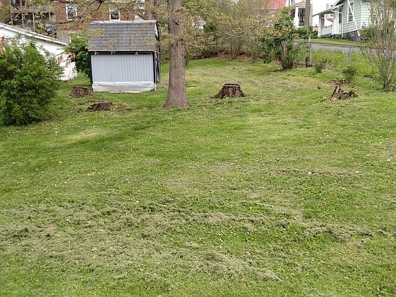 Backyard with Workshop w/electricty