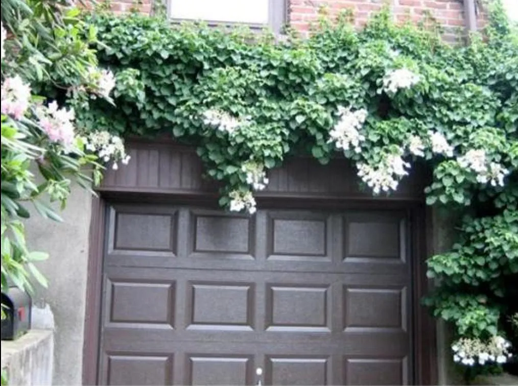 6 Malden St — Photo 3
