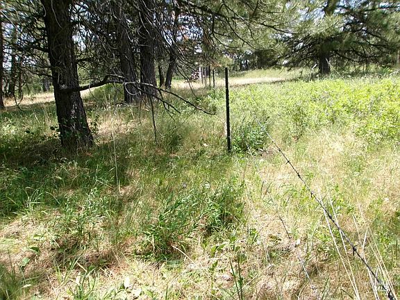 4th image of Jackpine Rd