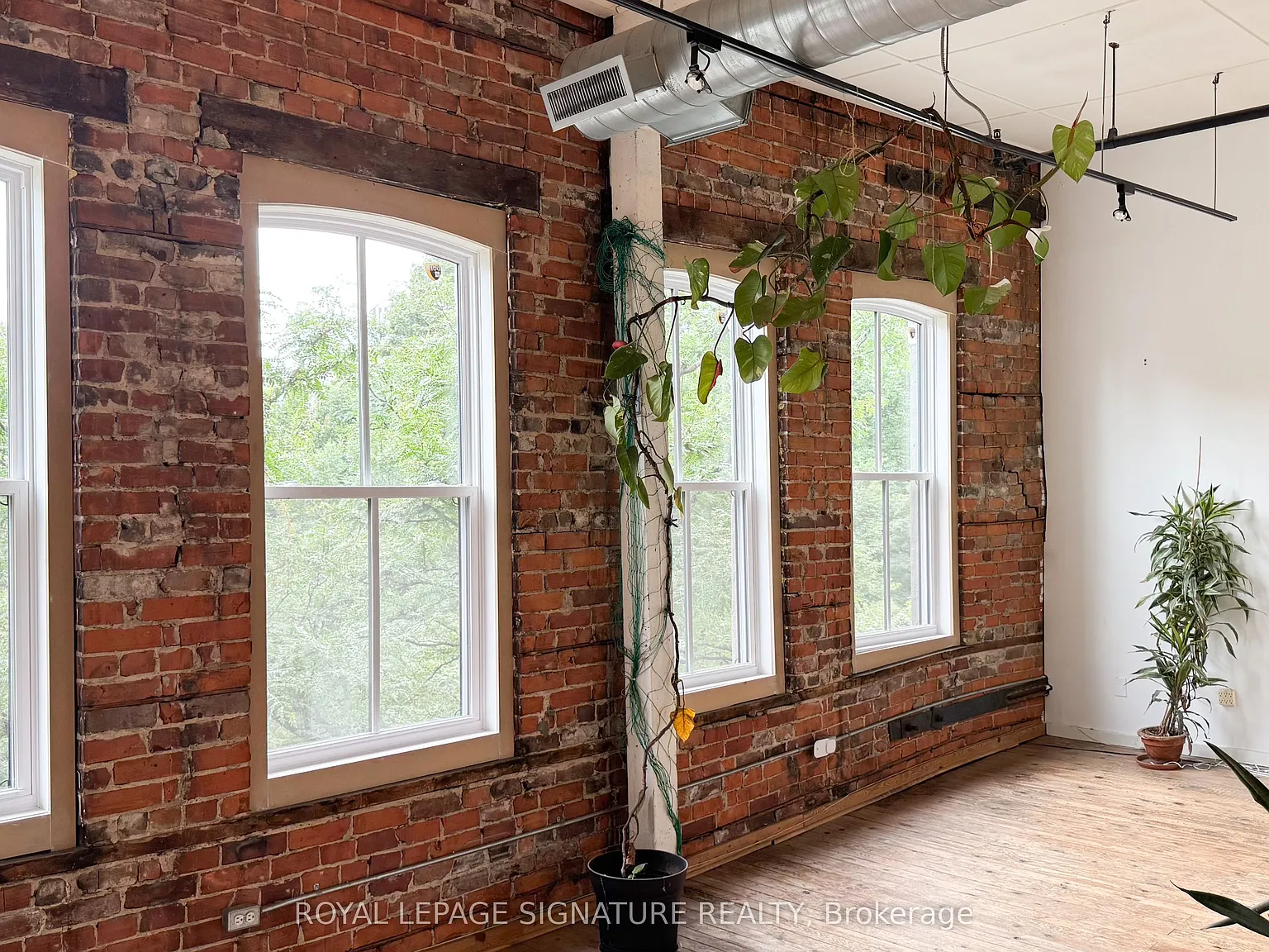 Studio, $2,800 — Photo 2