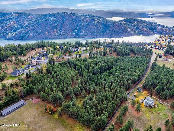 3rd image of Nka Frosty Pine Trl