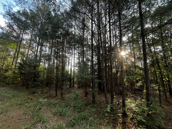 Cranford Rd, Farmerville, LA 71241