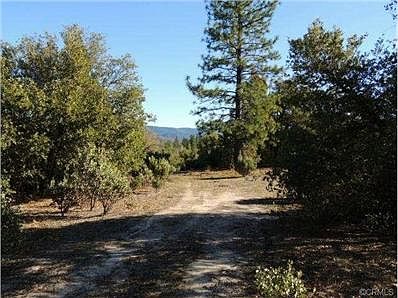 Plateau area near center of property