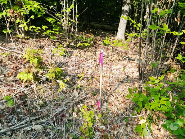 Lot 10 West Road, Springfield, ME 04487