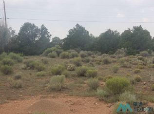 Rhodes Dr, Thoreau, NM 87323