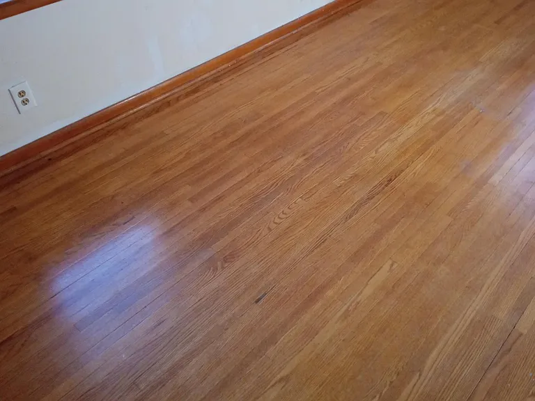 5 Duchess Ct — Photo 5