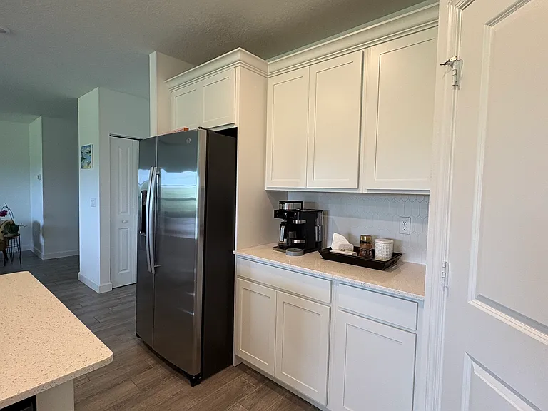 18961 Wood Stork Way — Photo 3