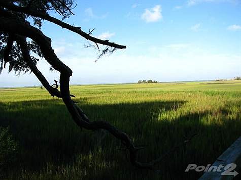 marsh2