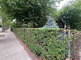 Rented by Olympic CIty Real Estate