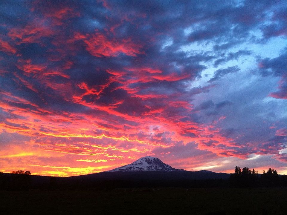 2nd image of 83 Mount Adams Hwy
