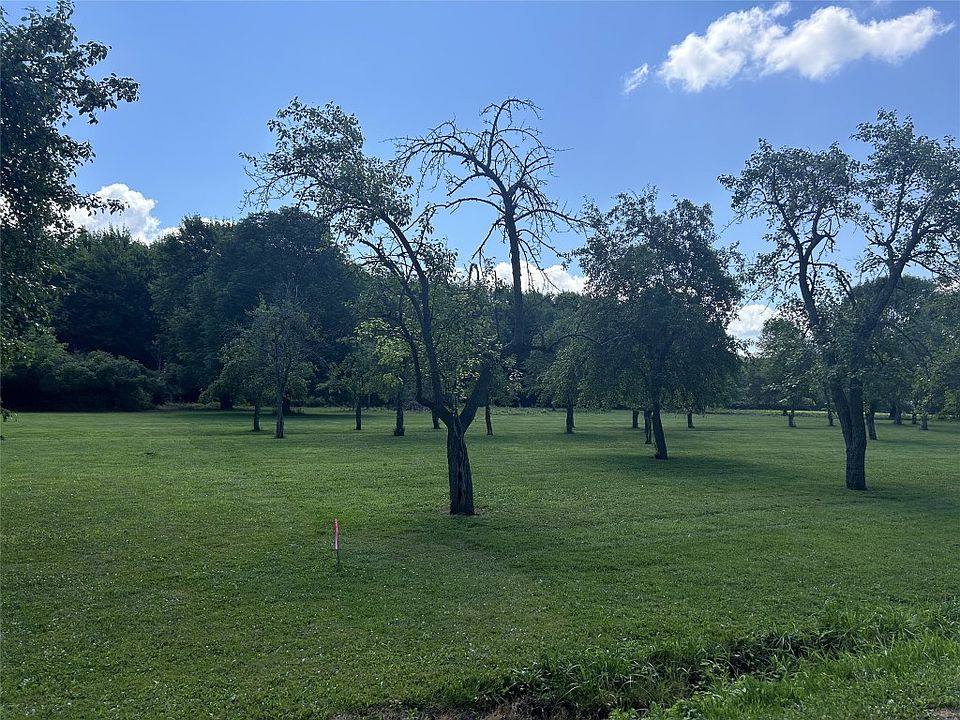 2nd image of Maple Rd