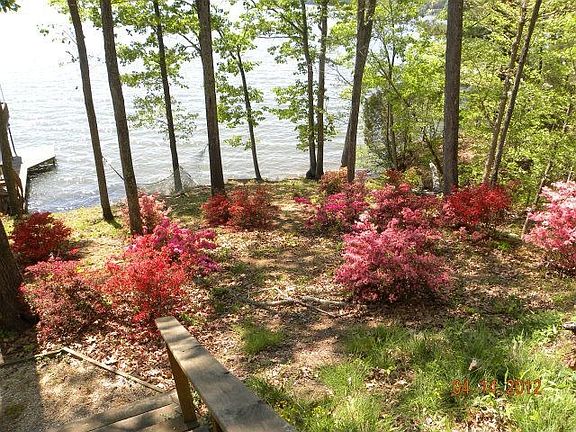 3rd image of 155 Lakeview Dr