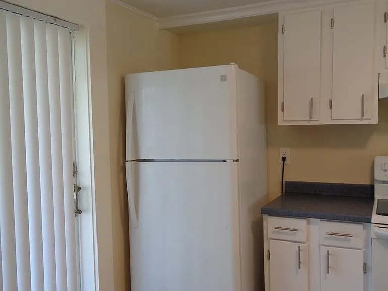 1133 N Fletcher Ave — Photo 8