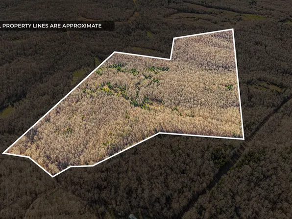 96 Ramery Rd, Cumberland City, TN 37050