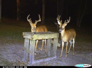 10751 Ne County Rd. 339, CHIEFLAND, FL 32621