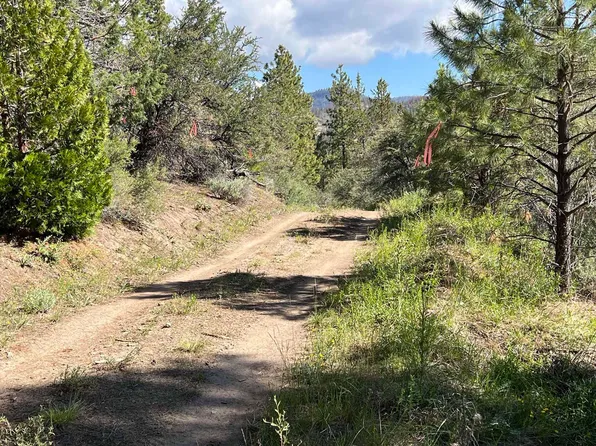 Tl 900 Drews Gap Rd, Lakeview, OR 97630