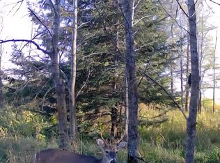 LOT 316th St #A, Clarissa, MN 56440