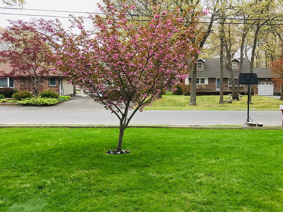 2nd image of 145 Oak Ave