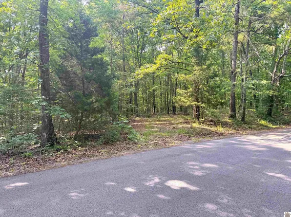 0 Beat Farmer Rd Lot 1, New Concord, KY 42076
