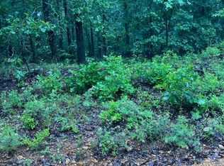 Newman Trl, Williford, AR 72482