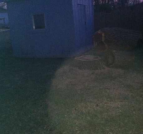 3rd image of 4301 Arlington Dr