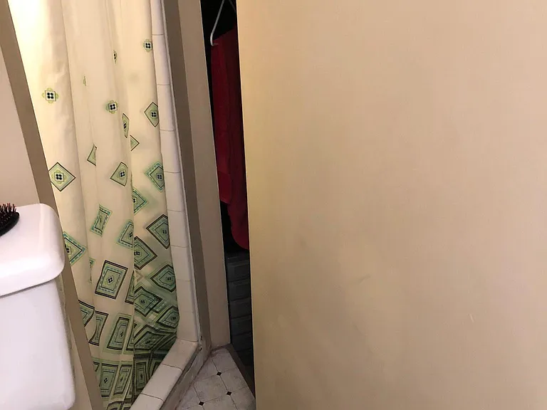 Toilet, three steps down into shower, closet on rt.